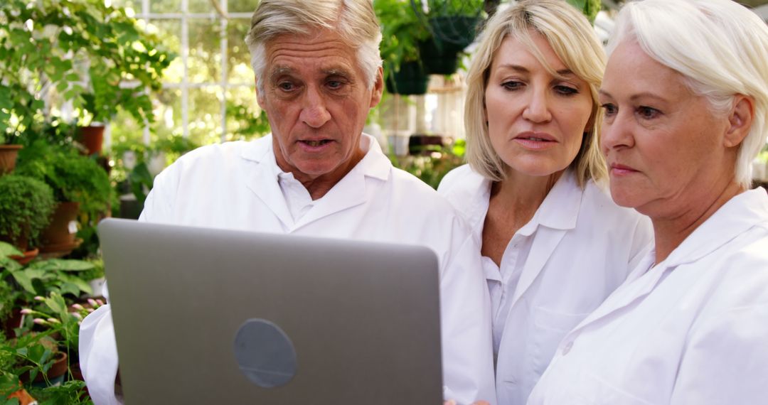 Senior Scientists Analyzing Data on Laptop in Greenhouse - Free Images, Stock Photos and Pictures on Pikwizard.com