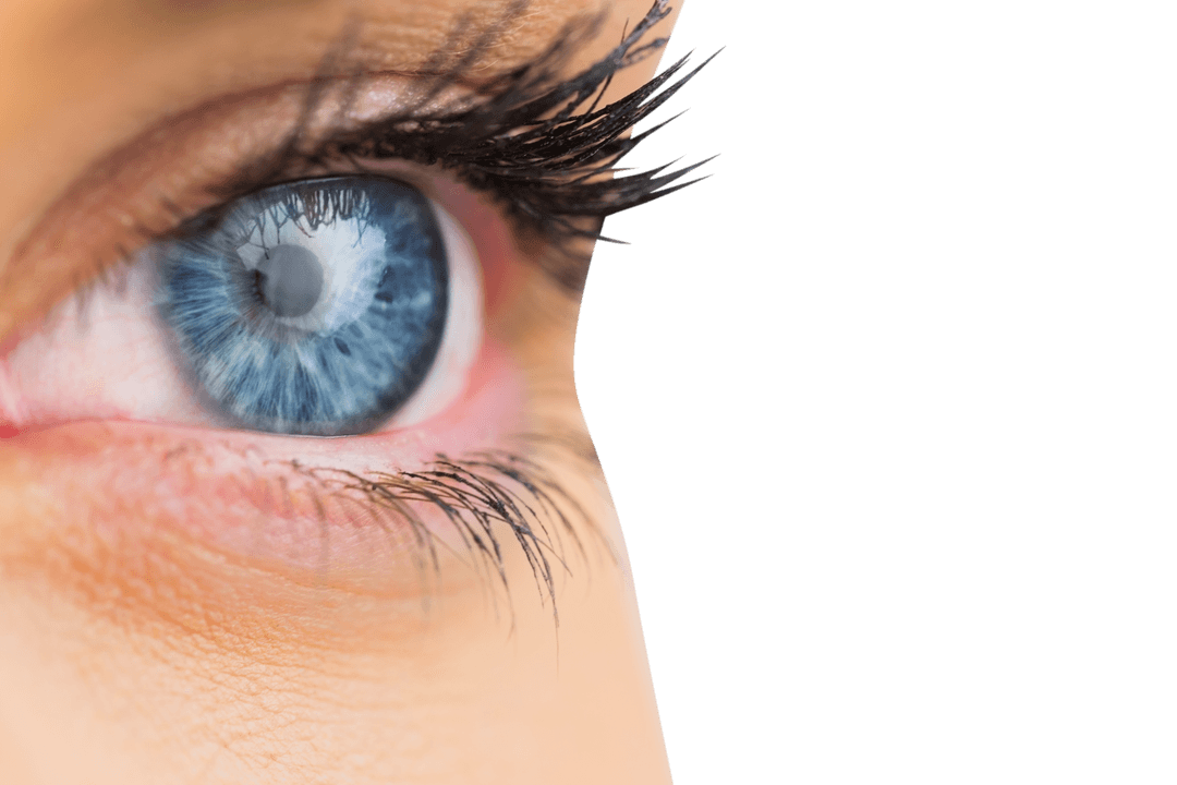 Transparent Focused Blue Eye with Long Lashes