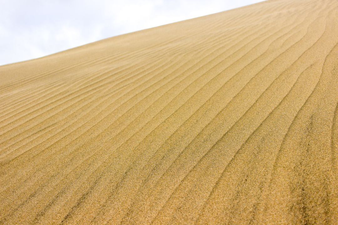 Wind-Sculpted Dune Patterns in Golden Desert Sands - Free Images, Stock Photos and Pictures on Pikwizard.com