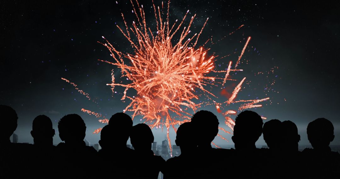 Silhouetted Crowd Watching Colorful Fireworks in Night Sky