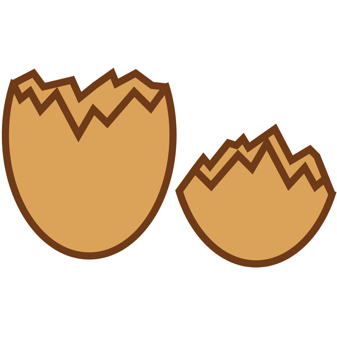 Broken Eggshells on Transparent Background for Nature and Cooking Art