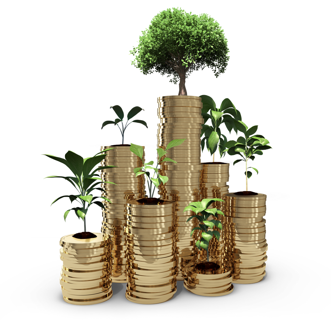 Financial Growth Concept Showing Plants Growing on Stacks of Coins, Transparent Background - Download Free Stock Images Pikwizard.com