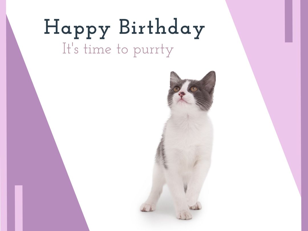 Playful Cat Birthday Card Design with Customizable Text - Download Free Stock Templates Pikwizard.com