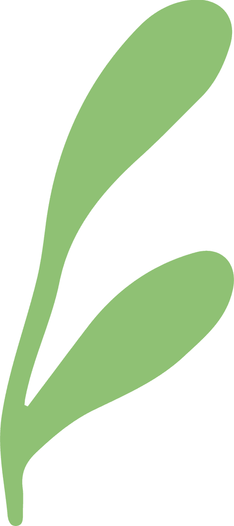 Green Abstract Sprout with Leaves on Transparent Background