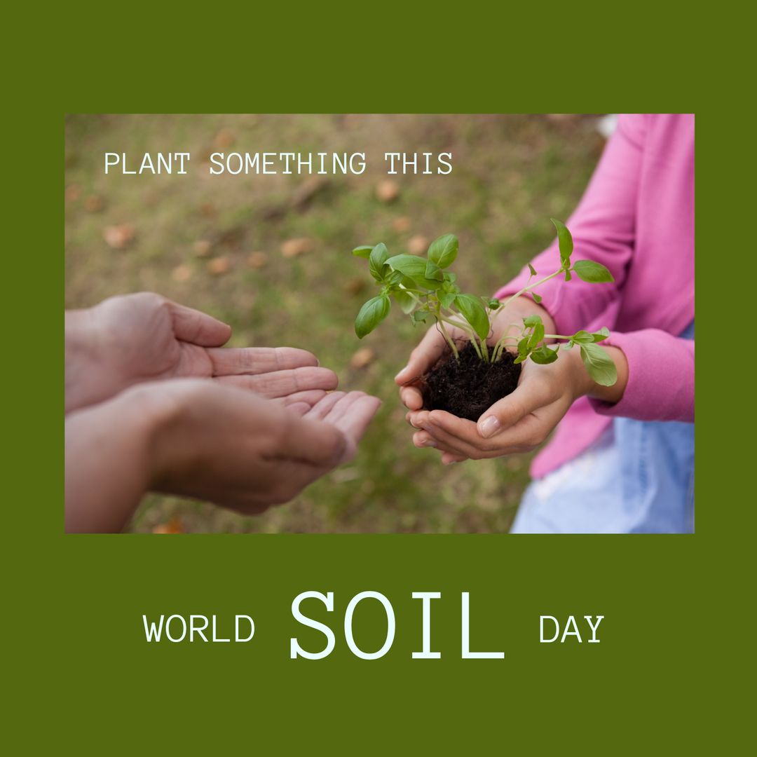 Celebrating World Soil Day with Planting Activities