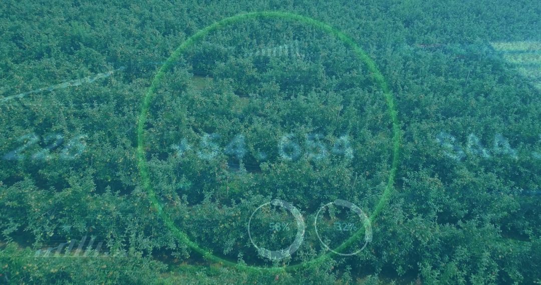 Aerial View of Orchard with Futuristic Data Monitoring