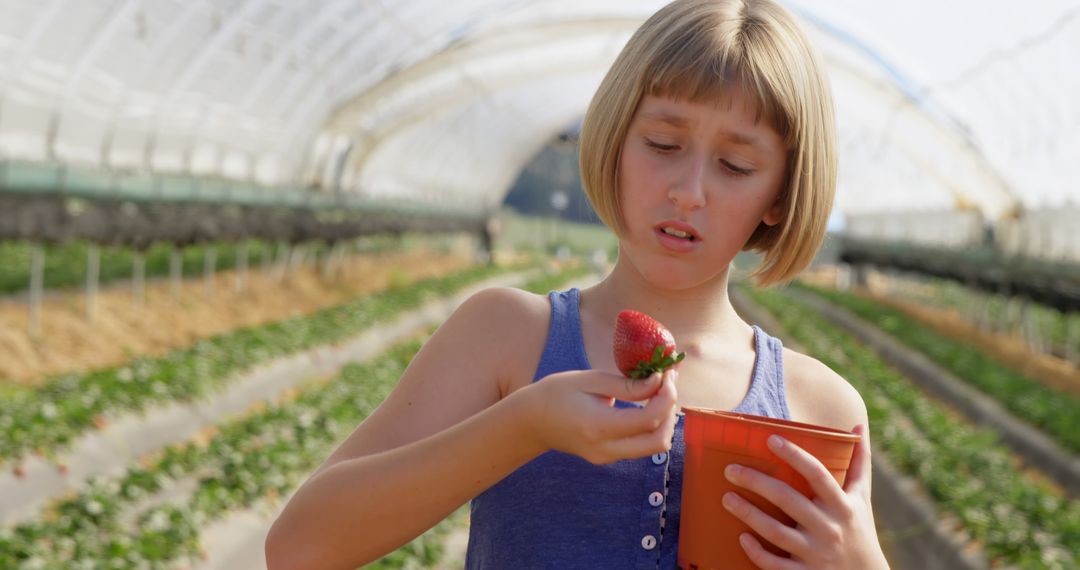 Teenage Caucasian girl examines a strawberry in a greenhouse - Free Images, Stock Photos and Pictures on Pikwizard.com