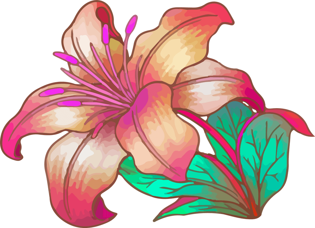 Colorful Lily Floating on Transparent Background Botanical Art