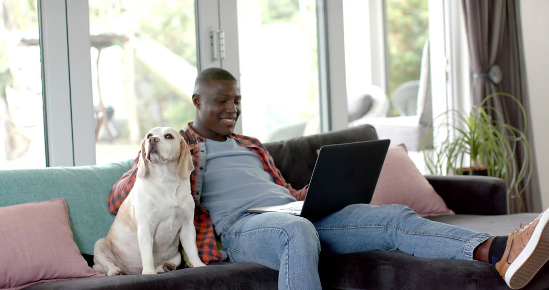 Happy Man Working from Home on Laptop with Dog - Free Images, Stock Photos and Pictures on Pikwizard.com