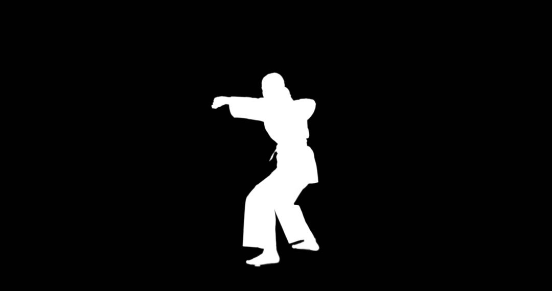 Silhouette of Martial Artist Practicing Karate Moves - Free Images, Stock Photos and Pictures on Pikwizard.com