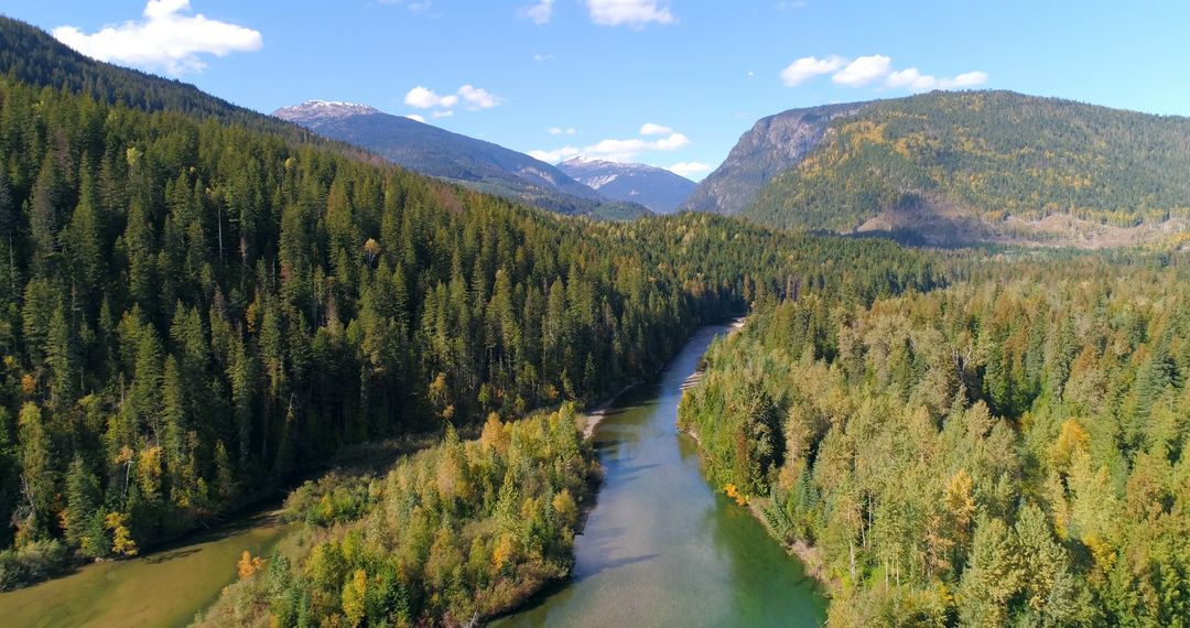 Scenic View of River Flowing Through Pine Forest and Mountains - Free Images, Stock Photos and Pictures on Pikwizard.com