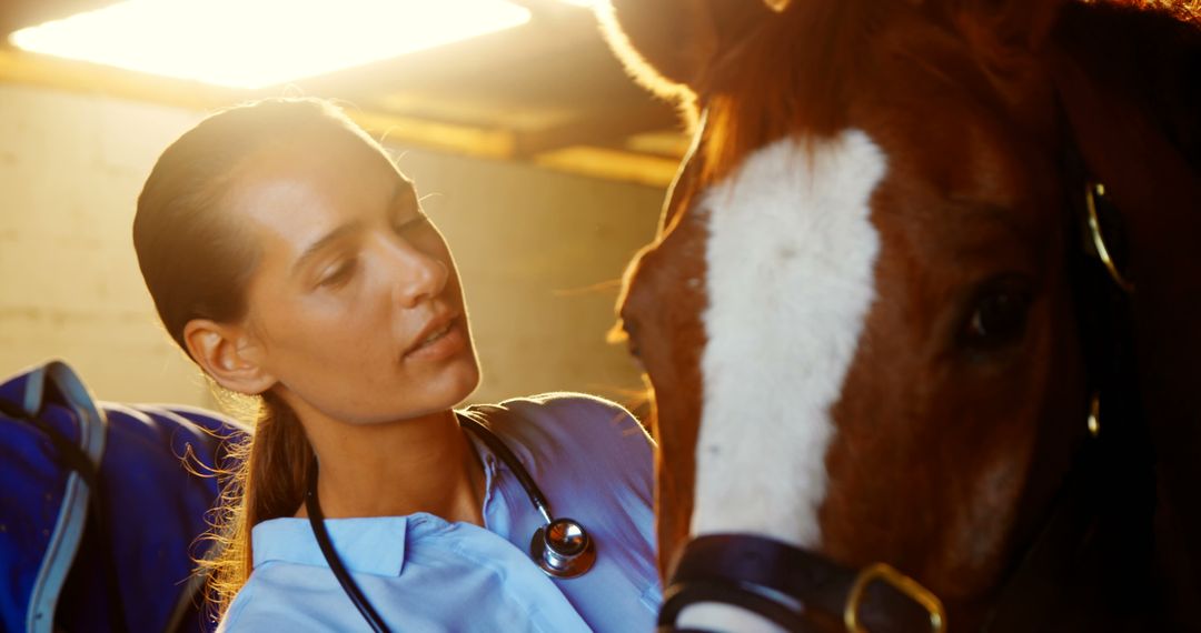 Female Veterinarian Examining Horse in Stable - Free Images, Stock Photos and Pictures on Pikwizard.com