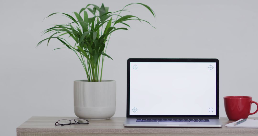 Minimalist Workspace with Open Laptop and Green Plant - Free Images, Stock Photos and Pictures on Pikwizard.com