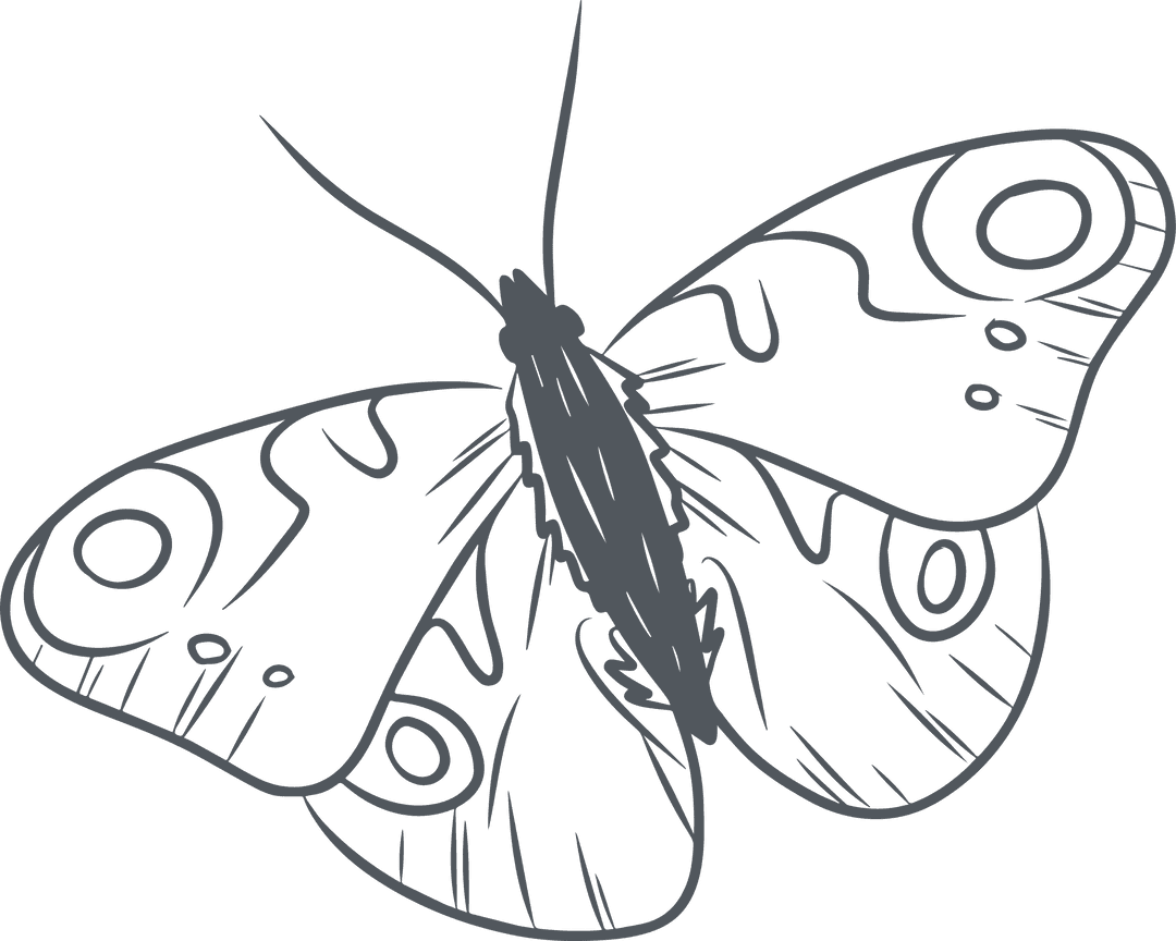 Delicate Line Art Butterfly with Ornamental Wing Patterns on Transparent Background
