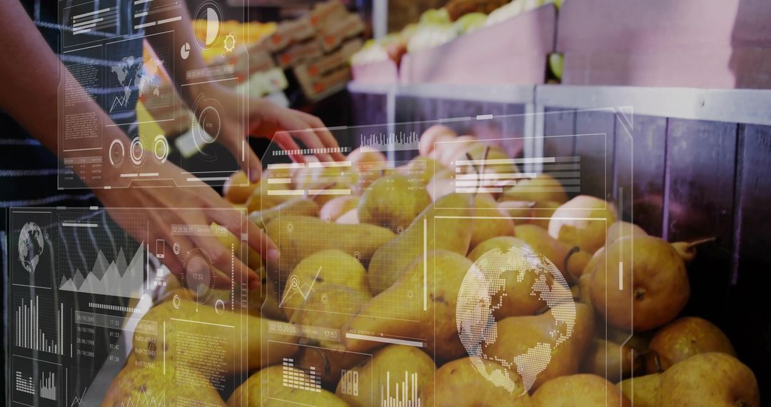 Shopper Selecting Fresh Pears with Digital Data Overlay in Market