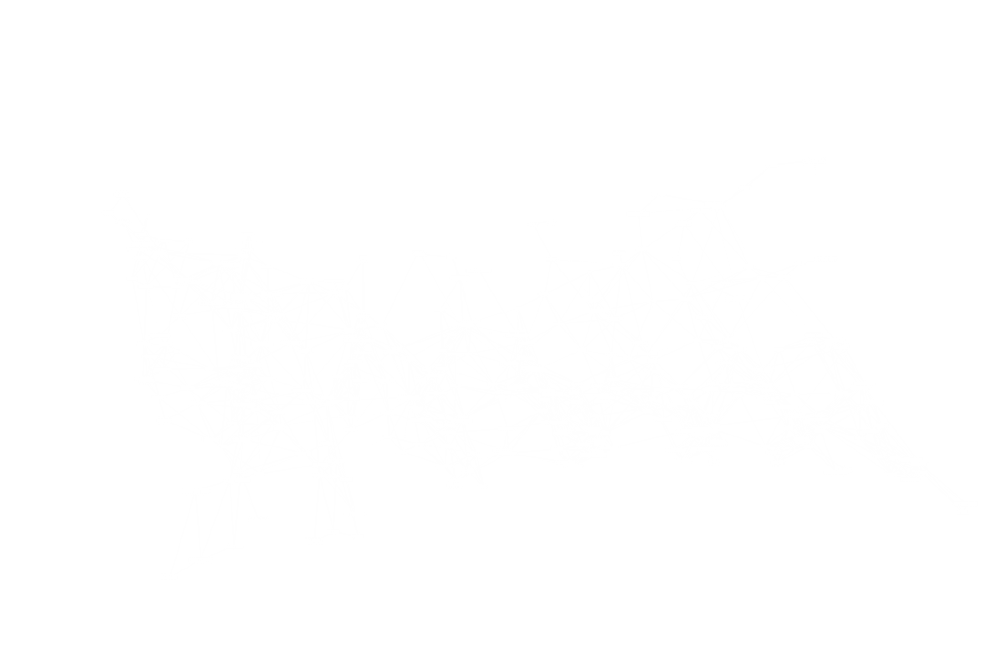 Digital Network Connection Lines on Transparent Background