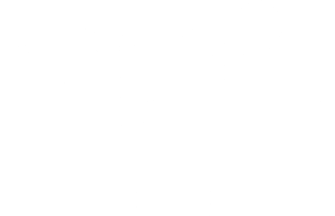 Silhouette of Man Bench Pressing on Transparent Background - Download Free Stock Images Pikwizard.com