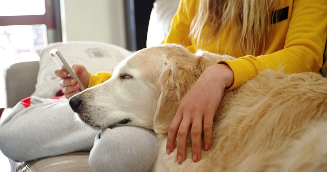 Woman Relaxing with Golden Retriever on Couch using Smartphone - Free Images, Stock Photos and Pictures on Pikwizard.com