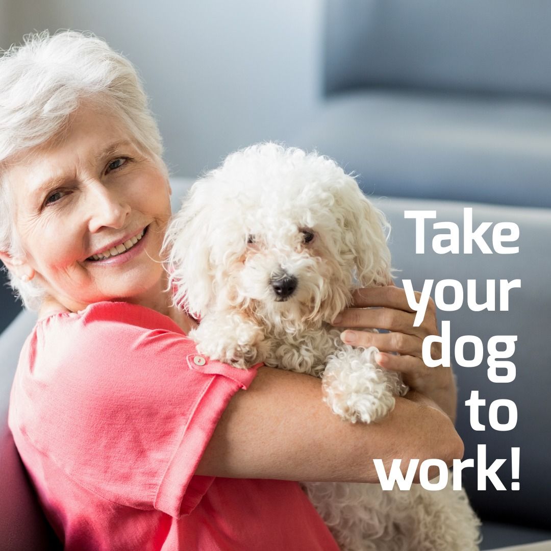 Portrait of smiling caucasian senior woman with dog by take your dog to work text - Download Free Stock Templates Pikwizard.com