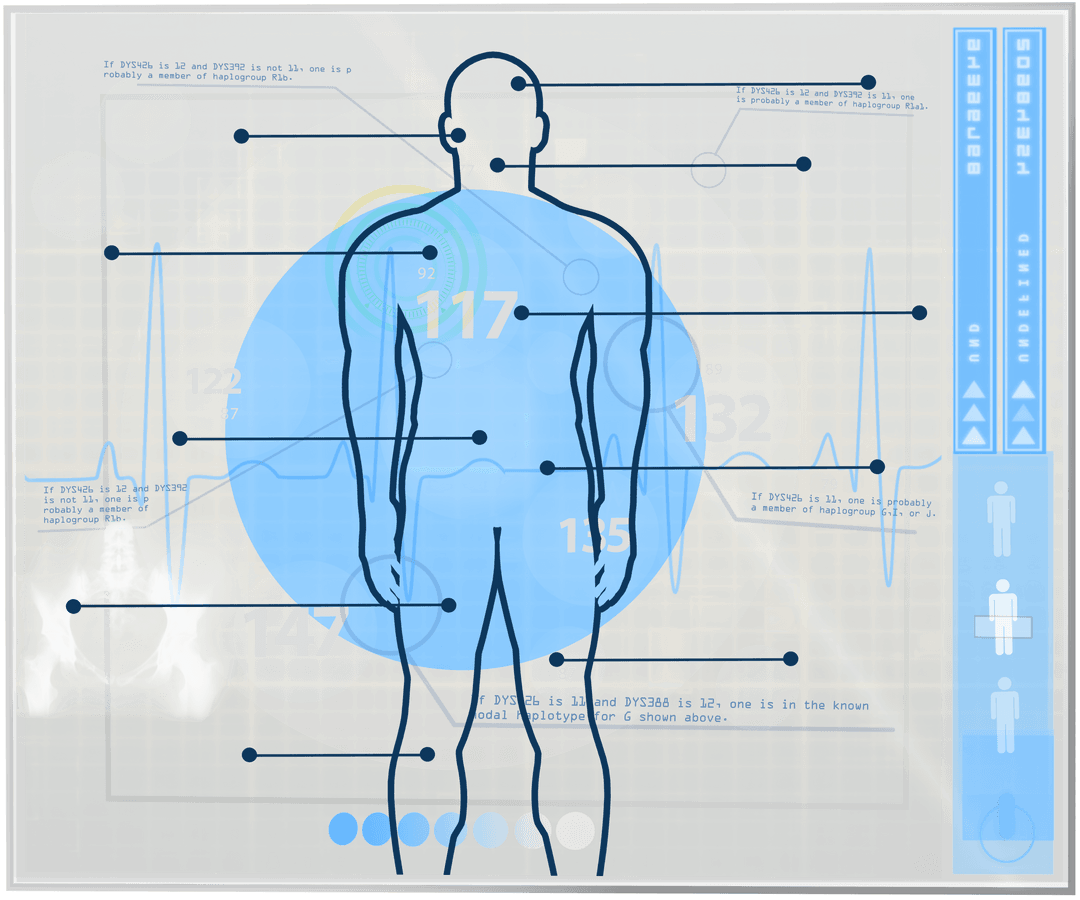 Transparent Digital Human Body Interface Analysis Design