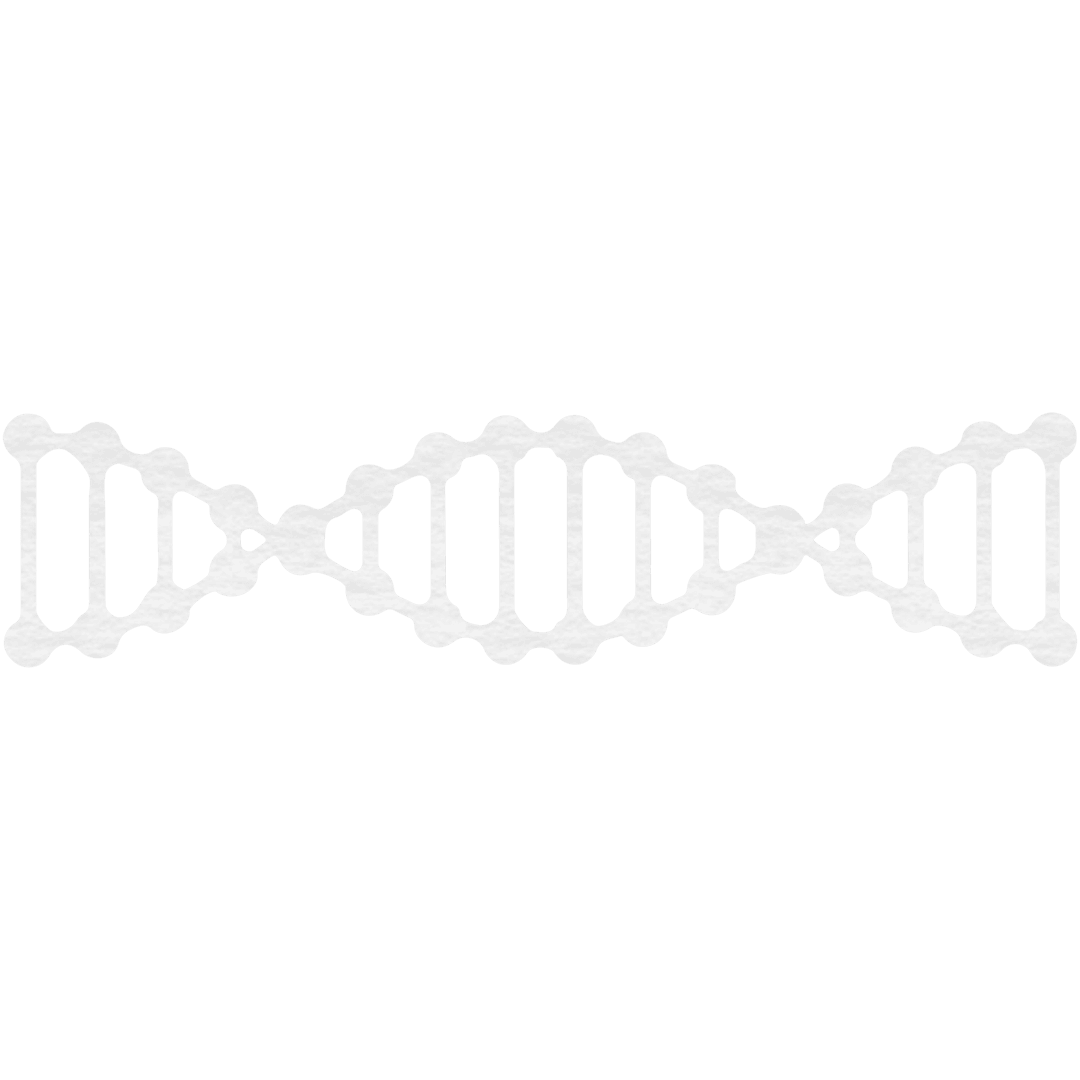 White Molecular Structure Illustration on Transparent Background