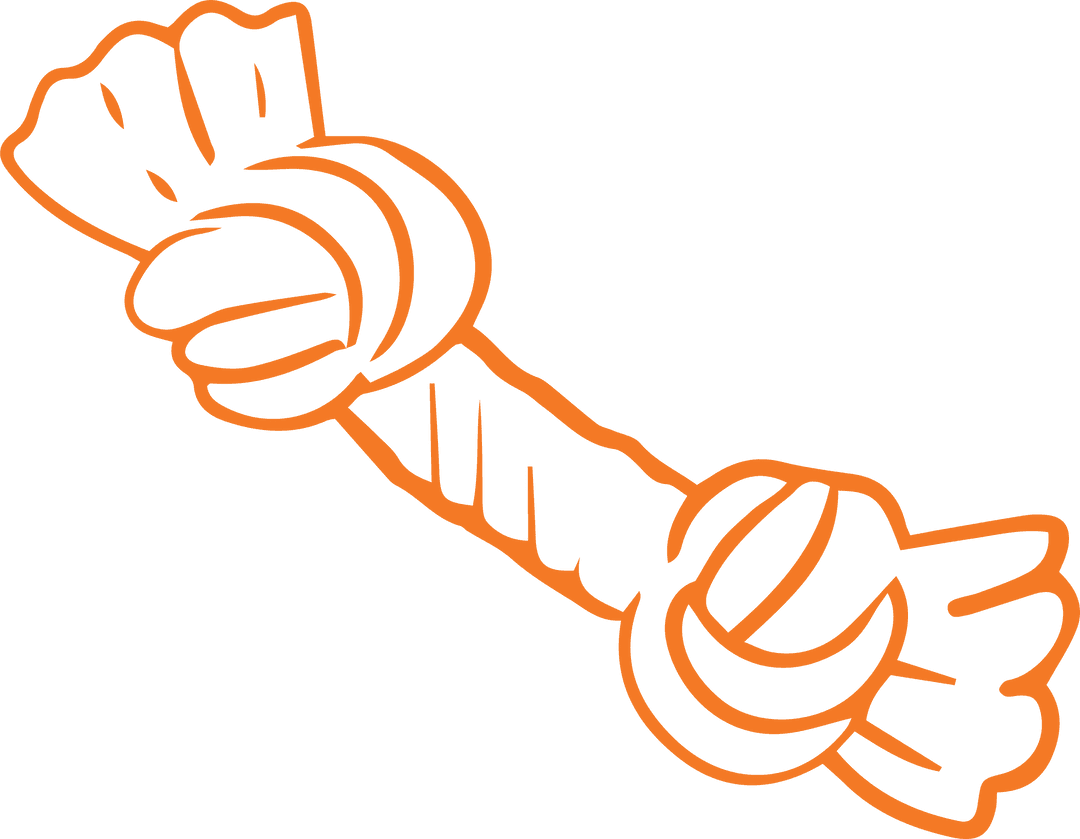 Orange Dog Rope Toy Illustration on Transparent Background