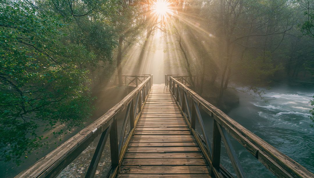 Sunlit Footbridge Over Forest Stream with Morning Mist