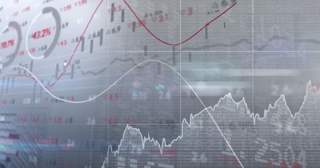 Digital Financial Data Interface with Dynamic Graphs