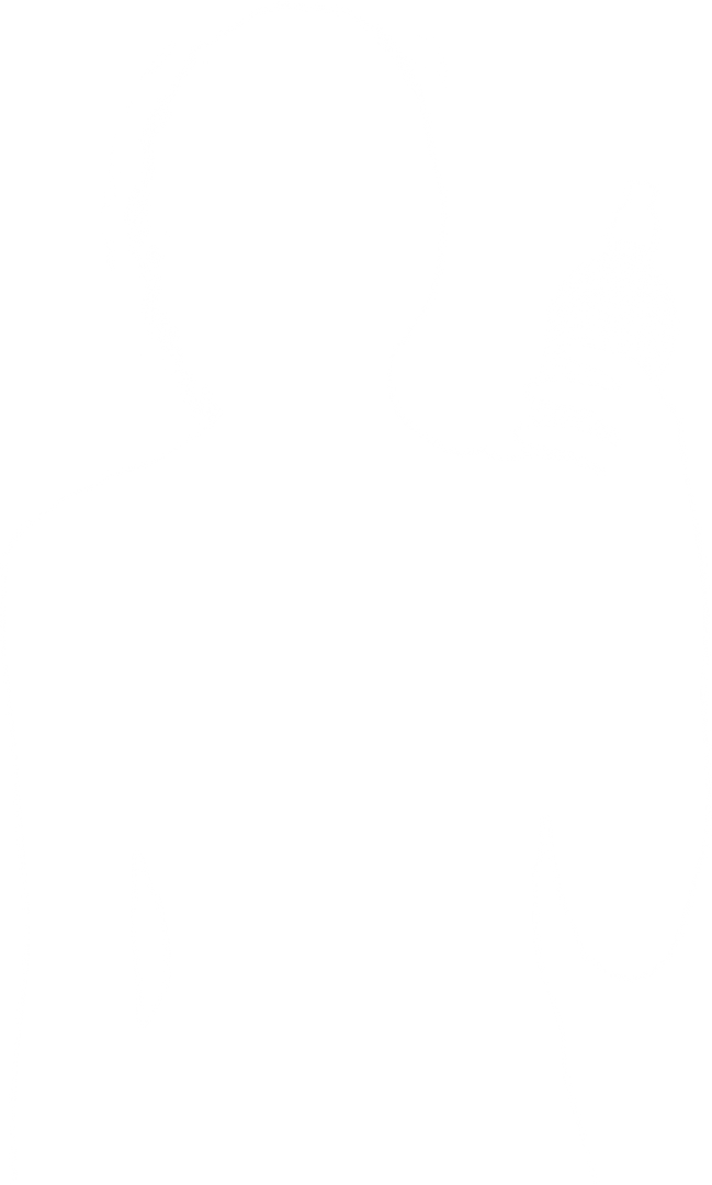 Silhouette of Sportswoman Holding Water Bottle on Transparent Background - Download Free Stock Images Pikwizard.com