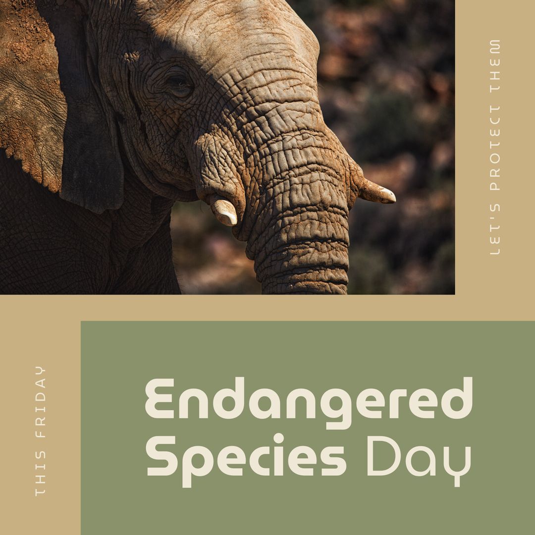 Endangered Species Day Awareness with Elephant Illustration