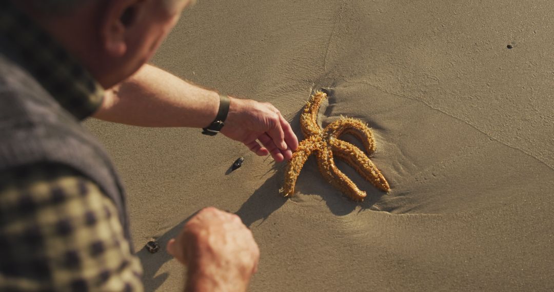 Close-Up of Senior Handling a Starfish on Beach Sand - Free Images, Stock Photos and Pictures on Pikwizard.com