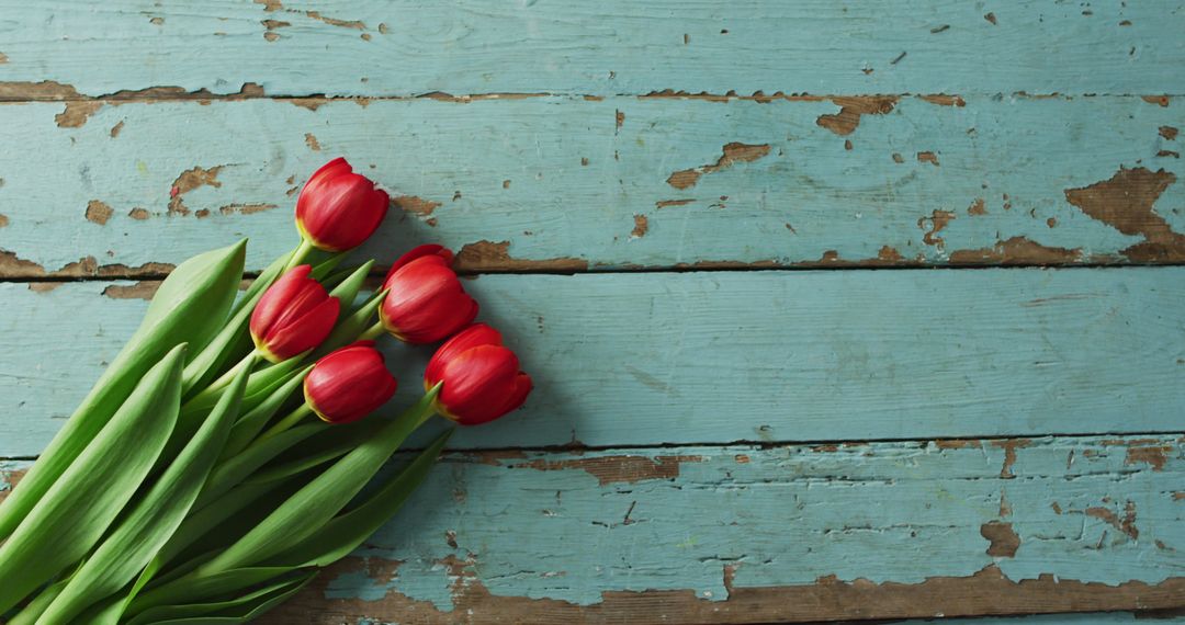 Red Tulips on Rustic Wooden Background