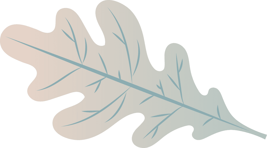 Stylized Transparent Oak Leaf with Gradient Blush Mint