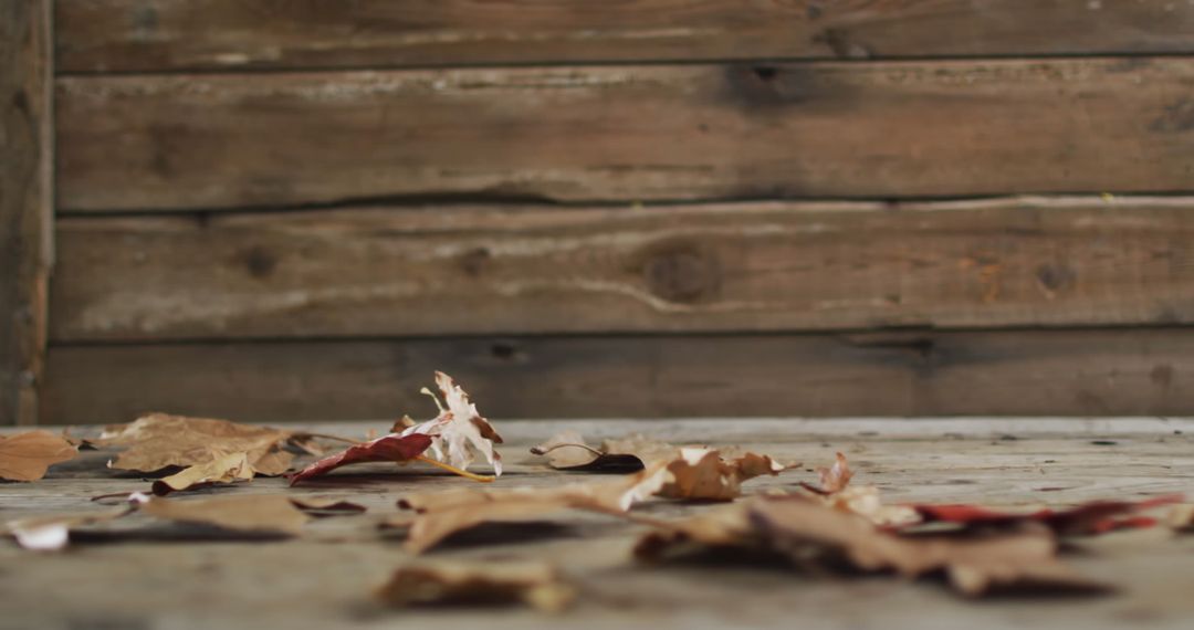Autumn Leaves on Rustic Wooden Background