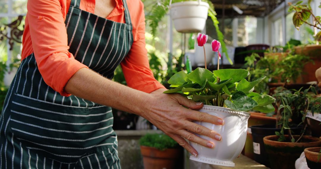 Mature woman carrying pot plant in greenhouse - Free Images, Stock Photos and Pictures on Pikwizard.com