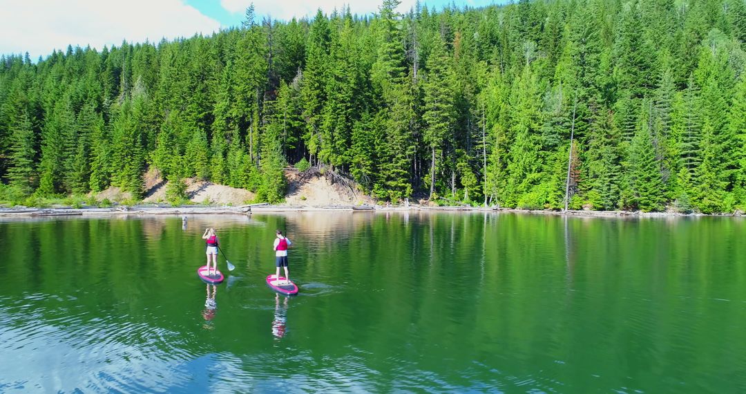 Couple Paddleboarding on Serene Lake with Forest Background - Free Images, Stock Photos and Pictures on Pikwizard.com