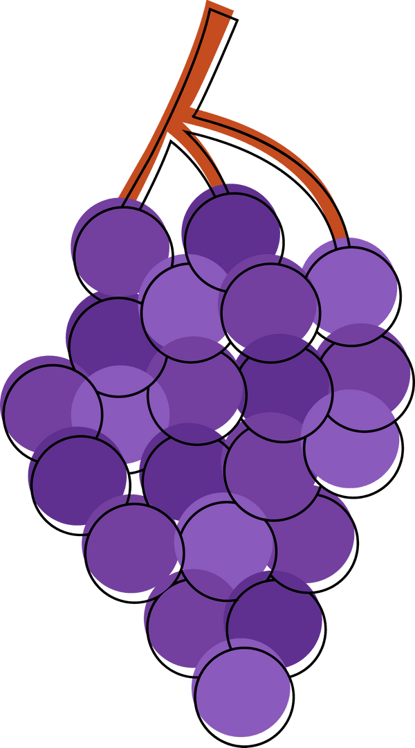 Transparent Purple Grape Cluster Illustration with Brown Stem