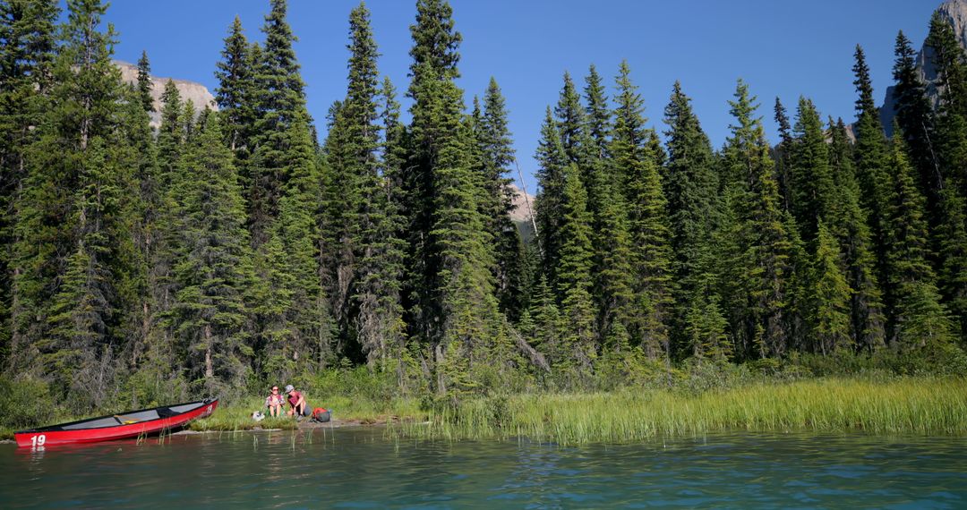 Canoe on Mountain Lake Shore with Pine Forest in Background - Free Images, Stock Photos and Pictures on Pikwizard.com