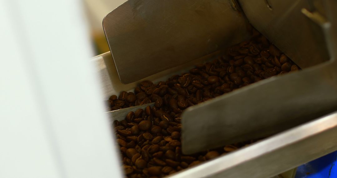 Close Up Coffee Grains in Processing Machine in Coffee Shop