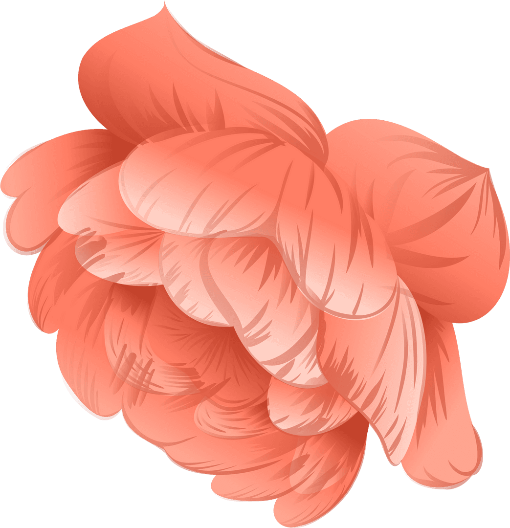 Elegant Coral-Pink Abstract Petal Design on Transparent Background