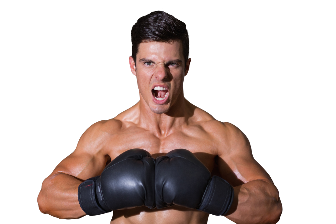 Caucasian Male Boxer Wearing Gloves on Transparent Background - Download Free Stock Images Pikwizard.com