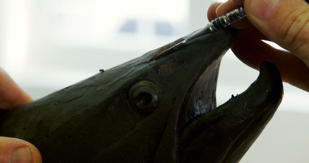 Close-up of Artist Shaping Fish Sculpture with Precision Tool - Free Images, Stock Photos and Pictures on Pikwizard.com