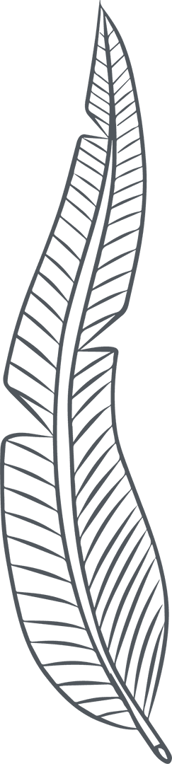 Tropical Leaves with Veins on Transparent Background Vector