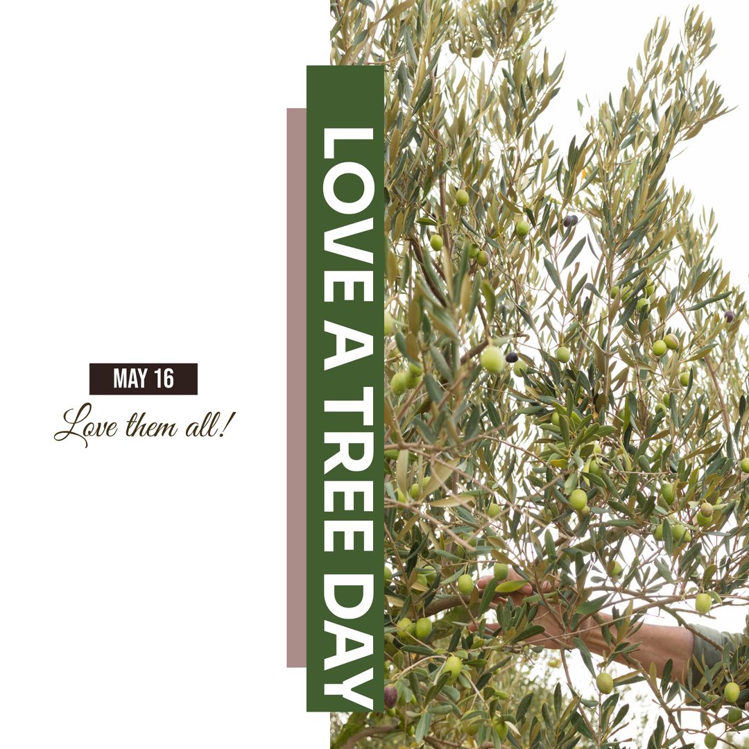 Celebrating Love a Tree Day with Olive Harvest on May 16 - Download Free Stock Templates Pikwizard.com