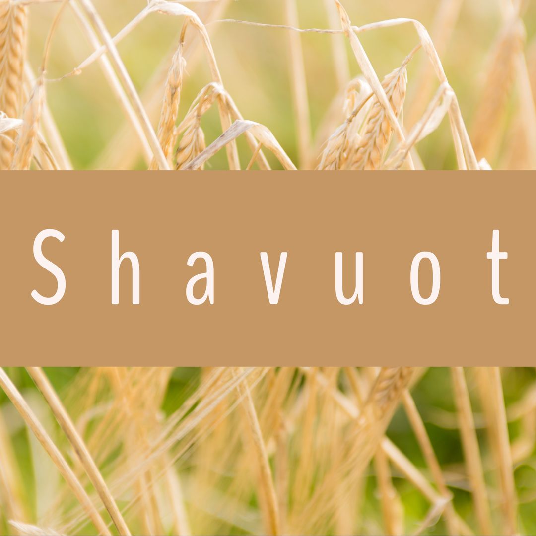 Shavuot Celebration Over Wheat Field Edge