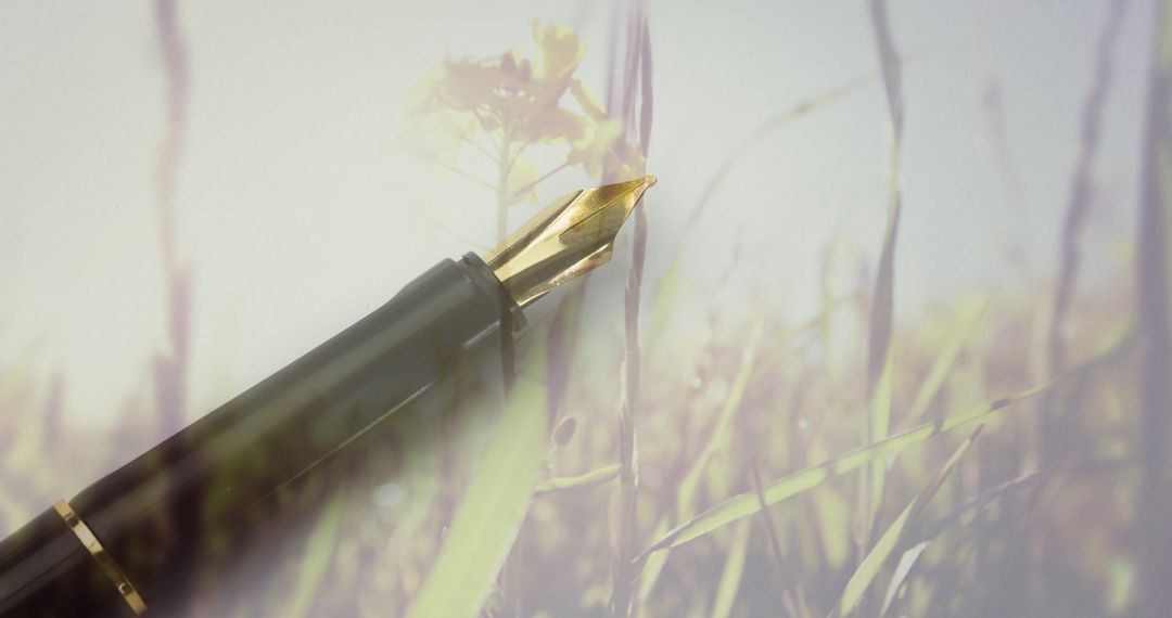 Fountain Pen on Meadow Background for Writing Concept