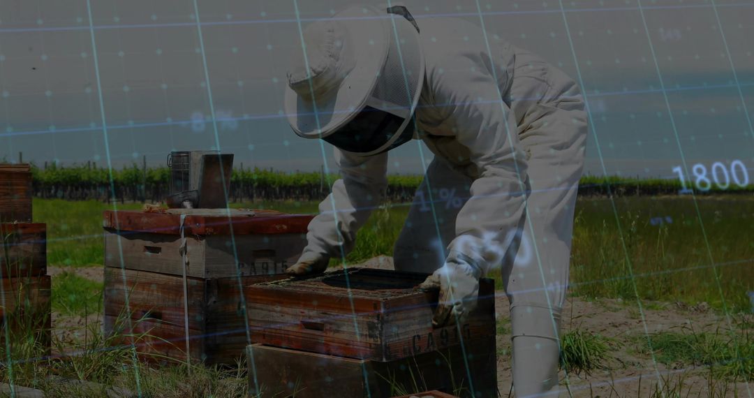 Beekeeper Practicing Sustainable Apiary Management in Field