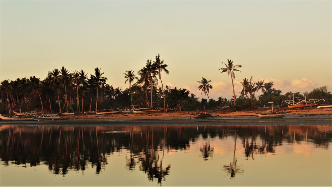 Serene Beach Sunset with Palm Trees and Reflections - Free Images, Stock Photos and Pictures on Pikwizard.com