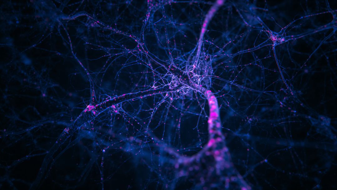 Glowing Digital Neural Pathways Illustration