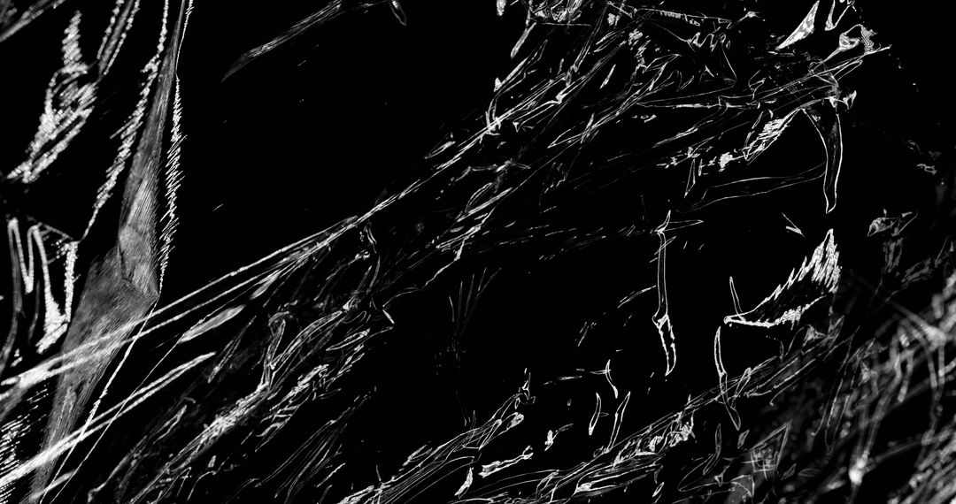 Intricate Abstract Motion in Black and White Composition